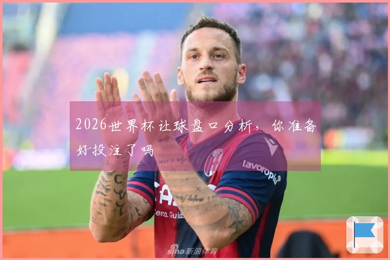 2026世界杯让球盘口分析，你准备好投注了吗