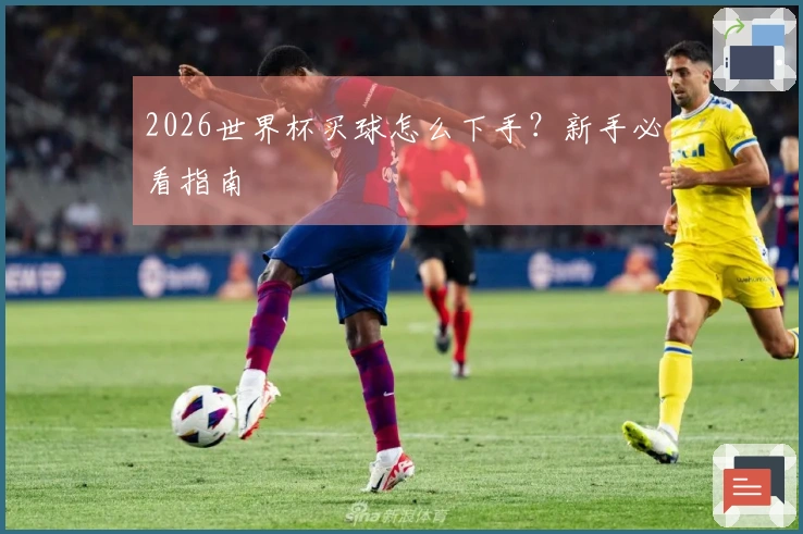 2026世界杯买球怎么下手？新手必看指南
