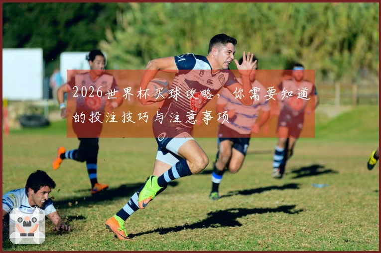 2026世界杯买球攻略，你需要知道的投注技巧与注意事项