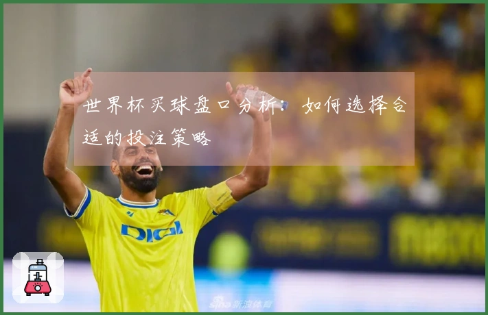 世界杯买球盘口分析：如何选择合适的投注策略