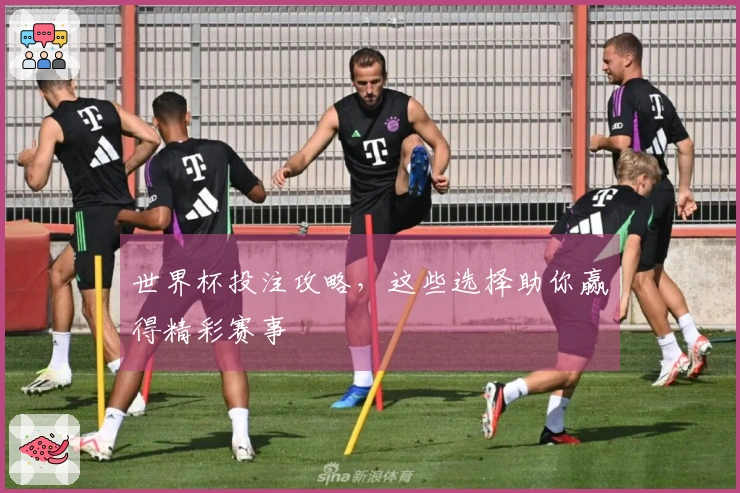 世界杯投注攻略，这些选择助你赢得精彩赛事