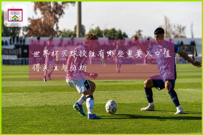 世界杯买球投注有哪些重要入口值得关注与分析
