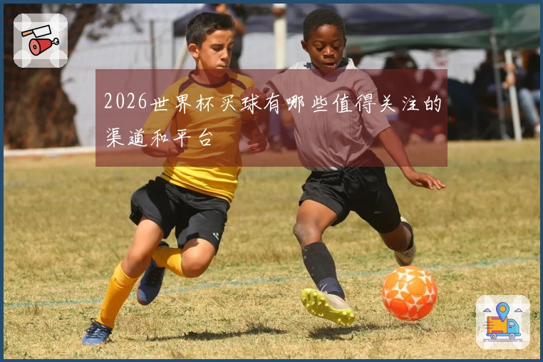 2026世界杯买球有哪些值得关注的渠道和平台