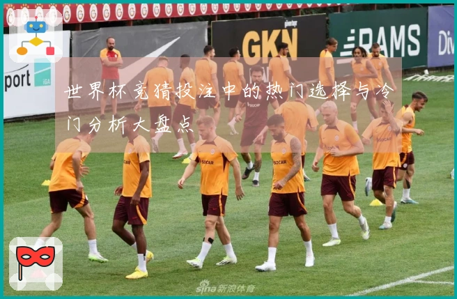 世界杯竞猜投注中的热门选择与冷门分析大盘点