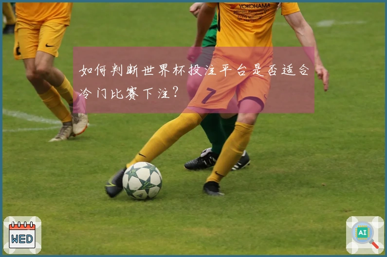 如何判断世界杯投注平台是否适合冷门比赛下注？