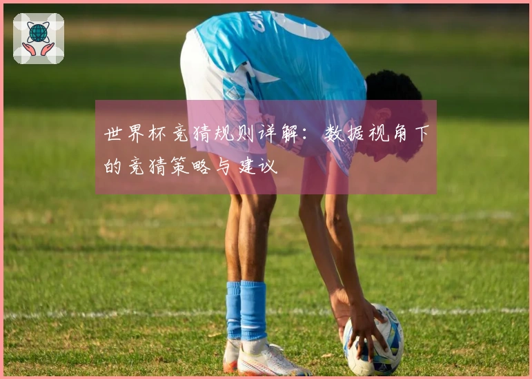 世界杯竞猜规则详解：数据视角下的竞猜策略与建议