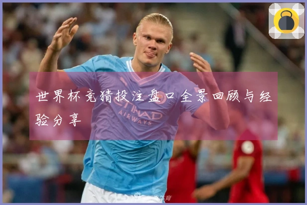 世界杯竞猜投注盘口全景回顾与经验分享