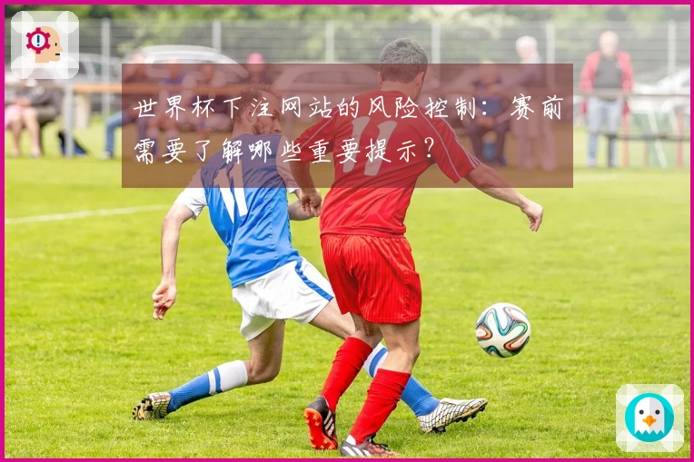 世界杯下注网站的风险控制：赛前需要了解哪些重要提示？