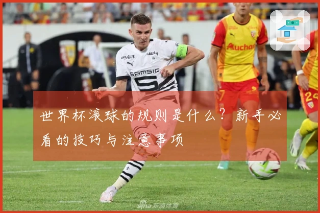 世界杯滚球的规则是什么？新手必看的技巧与注意事项