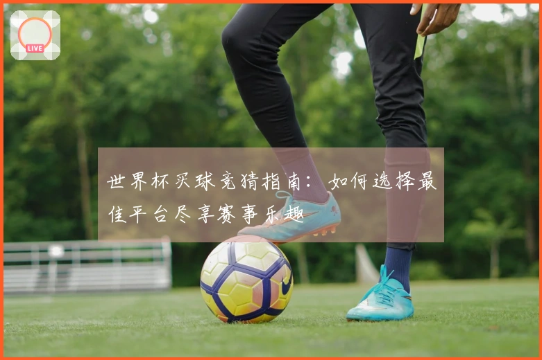 世界杯买球竞猜指南：如何选择最佳平台尽享赛事乐趣