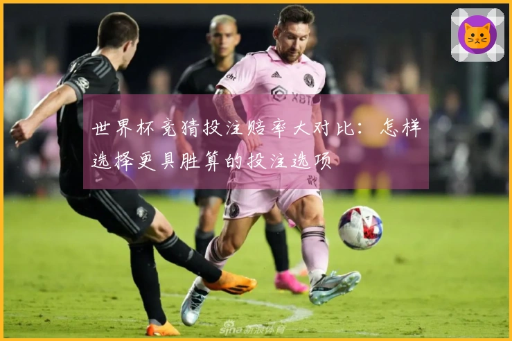 世界杯竞猜投注赔率大对比：怎样选择更具胜算的投注选项
