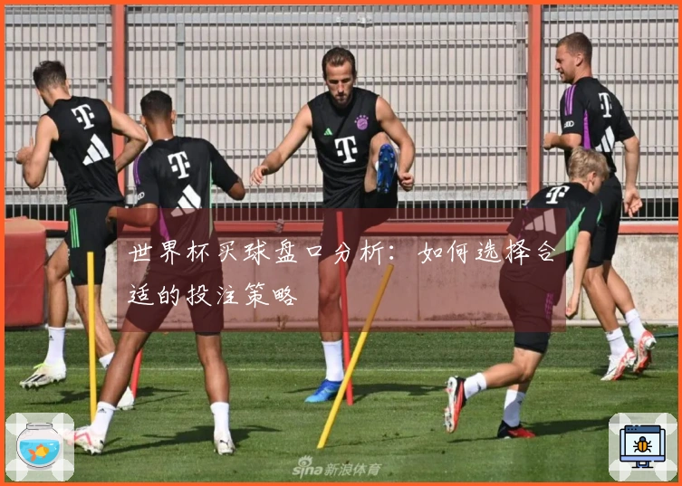 世界杯买球盘口分析：如何选择合适的投注策略