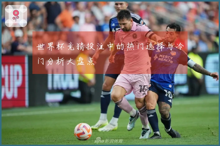 世界杯竞猜投注中的热门选择与冷门分析大盘点