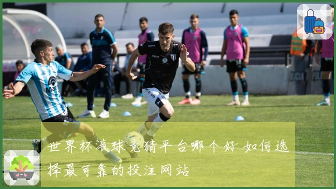 世界杯滚球竞猜平台哪个好 如何选择最可靠的投注网站