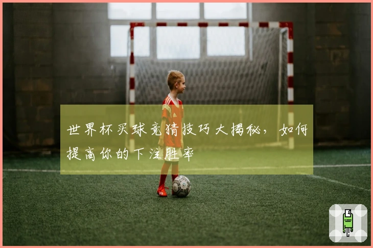 世界杯买球竞猜技巧大揭秘，如何提高你的下注胜率