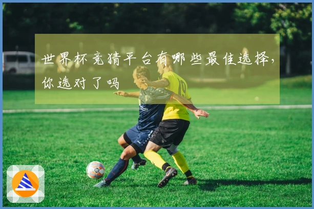 世界杯竞猜平台有哪些最佳选择，你选对了吗