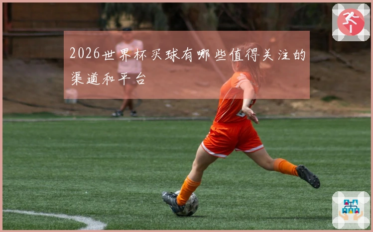 2026世界杯买球有哪些值得关注的渠道和平台
