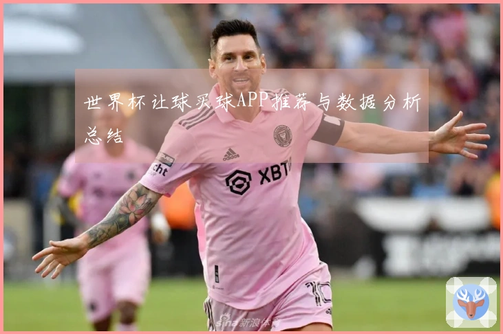 世界杯让球买球APP推荐与数据分析总结