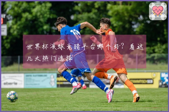 世界杯滚球竞猜平台哪个好？看这几大热门选择