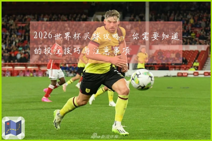 2026世界杯买球攻略，你需要知道的投注技巧与注意事项