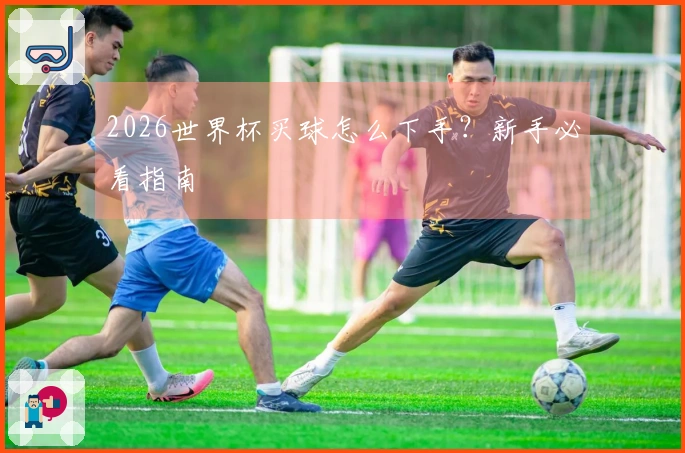 2026世界杯买球怎么下手？新手必看指南