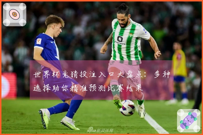 世界杯竞猜投注入口大盘点：多种选择助你精准预测比赛结果