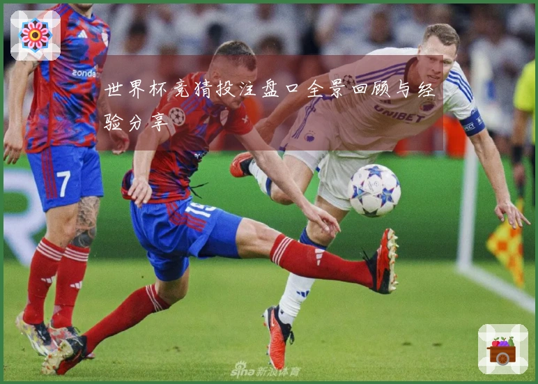 世界杯竞猜投注盘口全景回顾与经验分享